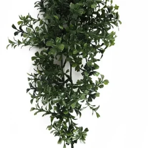 Decoratie streng Buxus (3st)