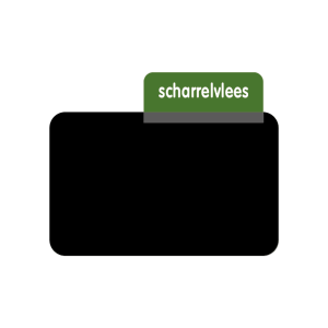 Opzetstukje ProtopS, 'scharrelvlees' (10st)